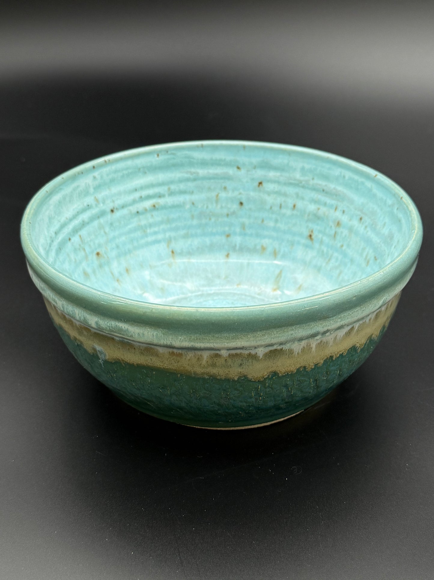 Turquoise and Cenote Bowl
