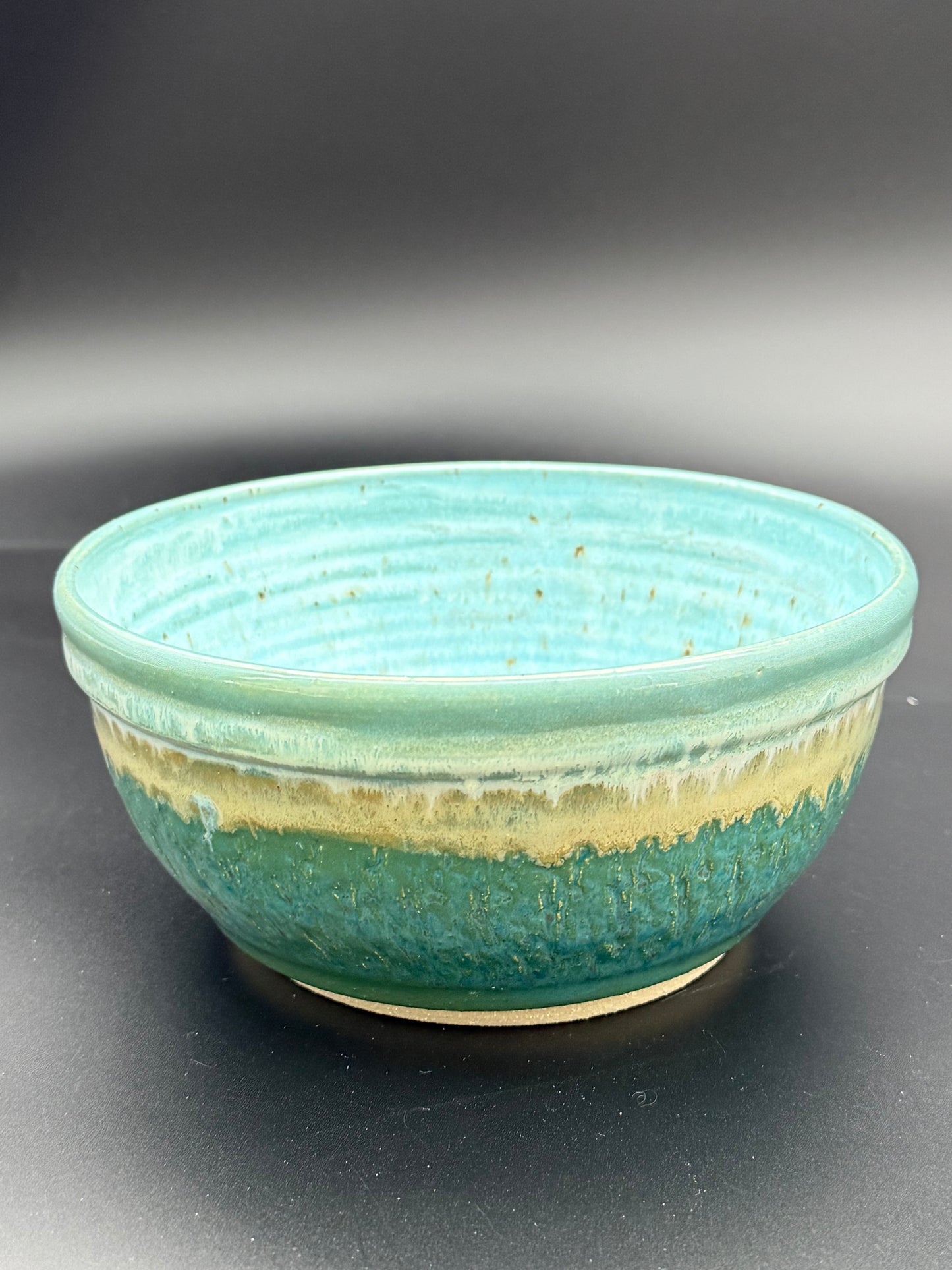 Turquoise and Cenote Bowl